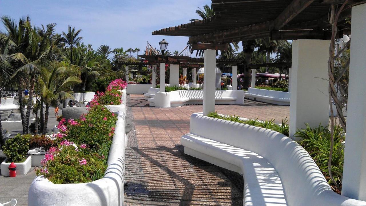 Ocean And Sun Studio Apartment Puerto de la Cruz  Dış mekan fotoğraf